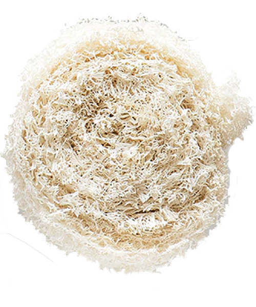 sponge.png